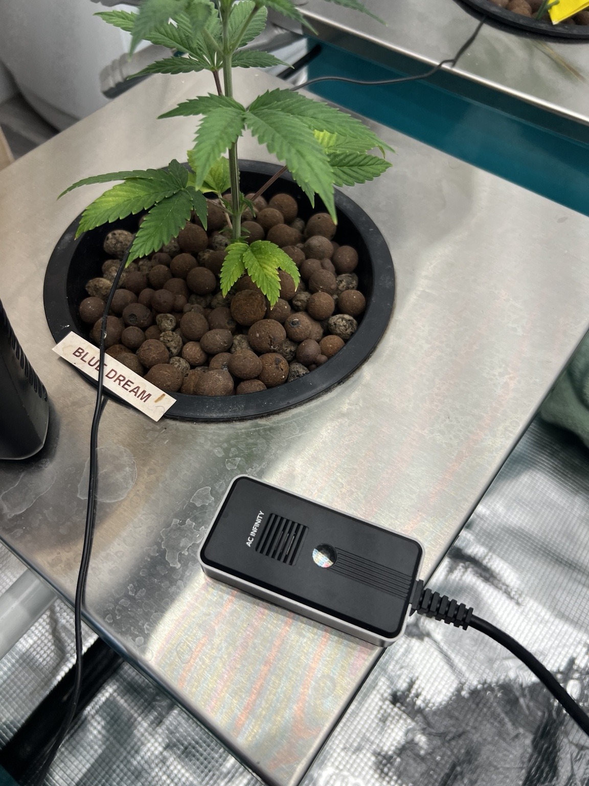 Stainless lid in active cultivation setup